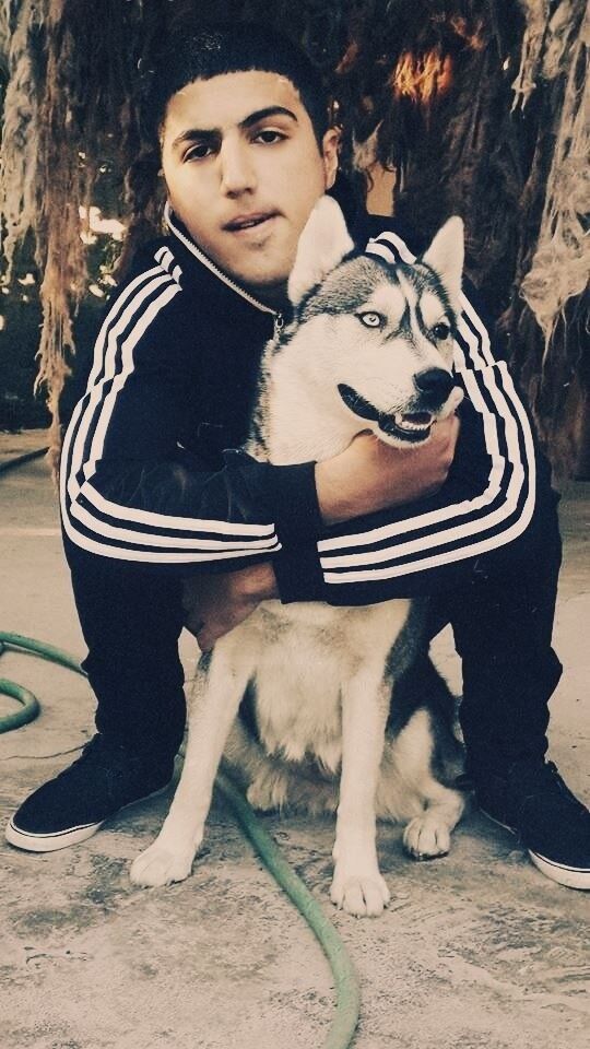 ���� 5085179 ������� Hamo, 30 ���, ���� ���������� � �������