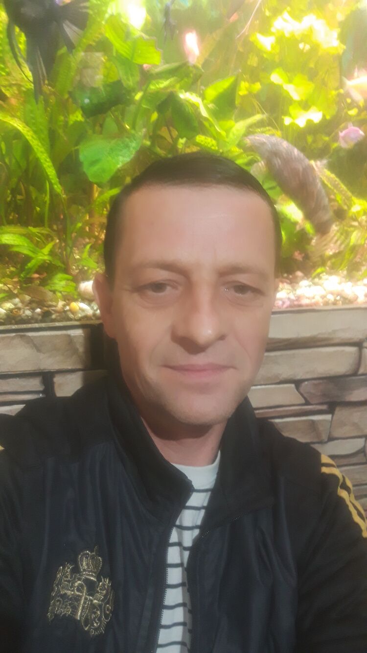  35587849  , 51 ,    