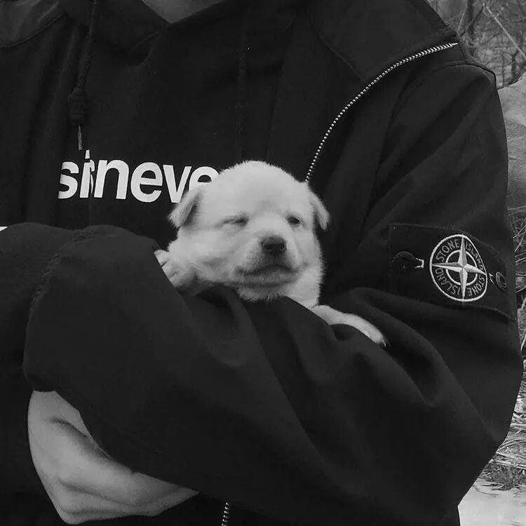 ���� 28718479 ����� ������, 21 ���, ���� ���������� � ����������