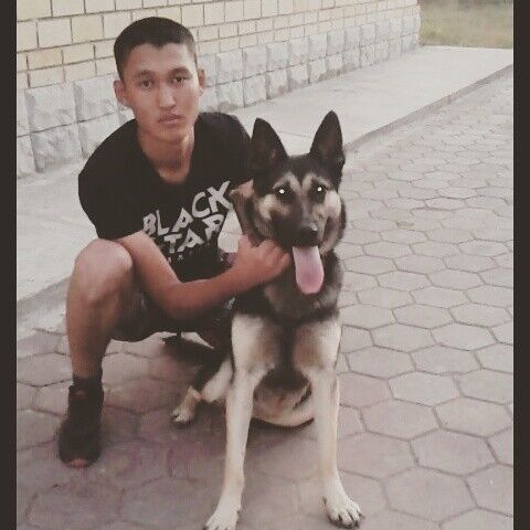  8031589  Abylay, 31 ,    