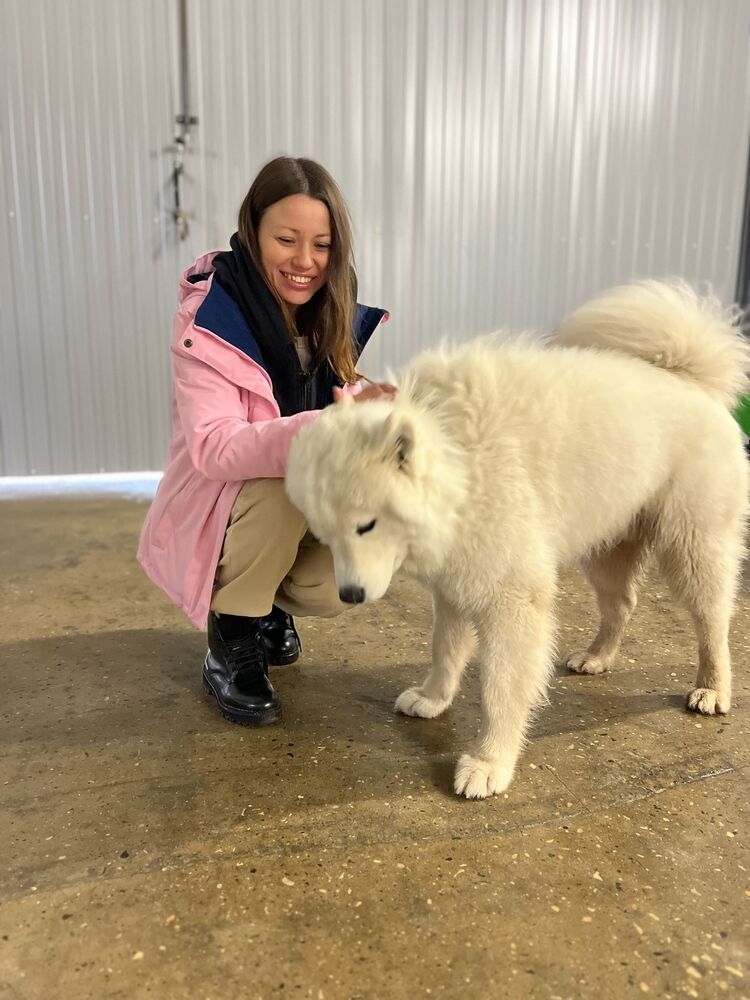 ���������� ������, ���� ������� ����, 35 ���, ������������ ��� ����� � ���������