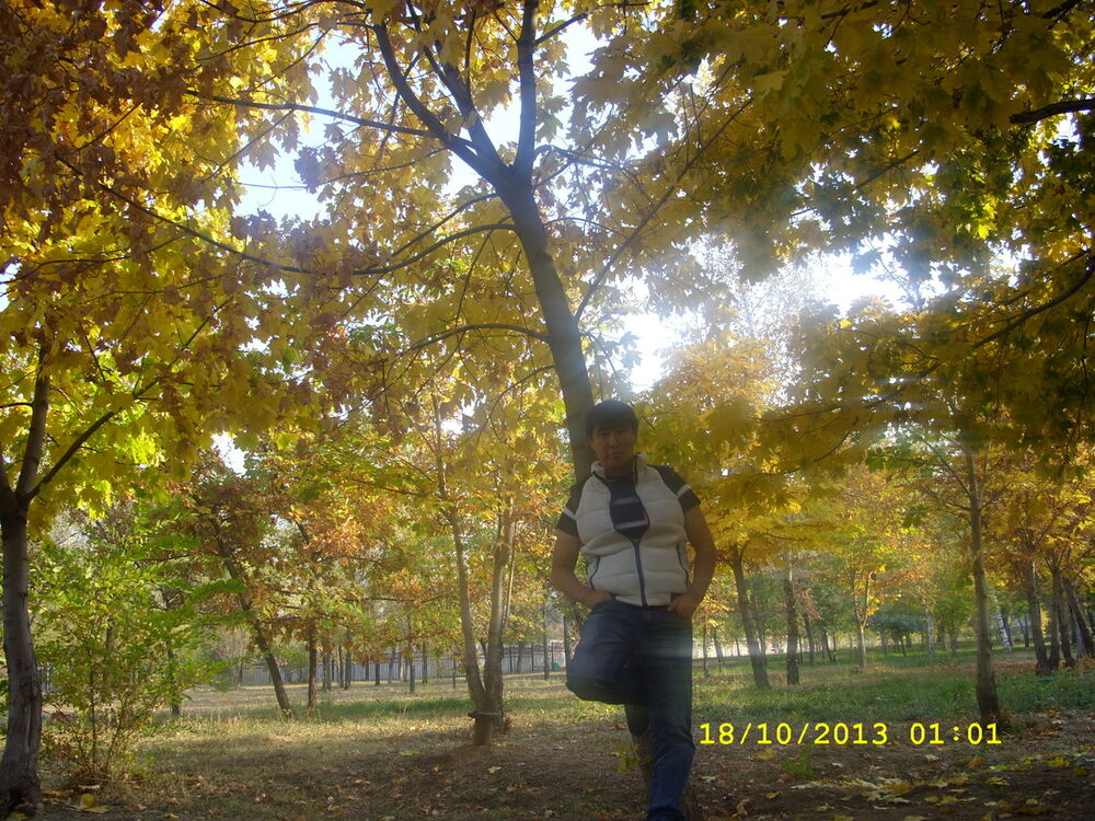  ,   , 42 ,  