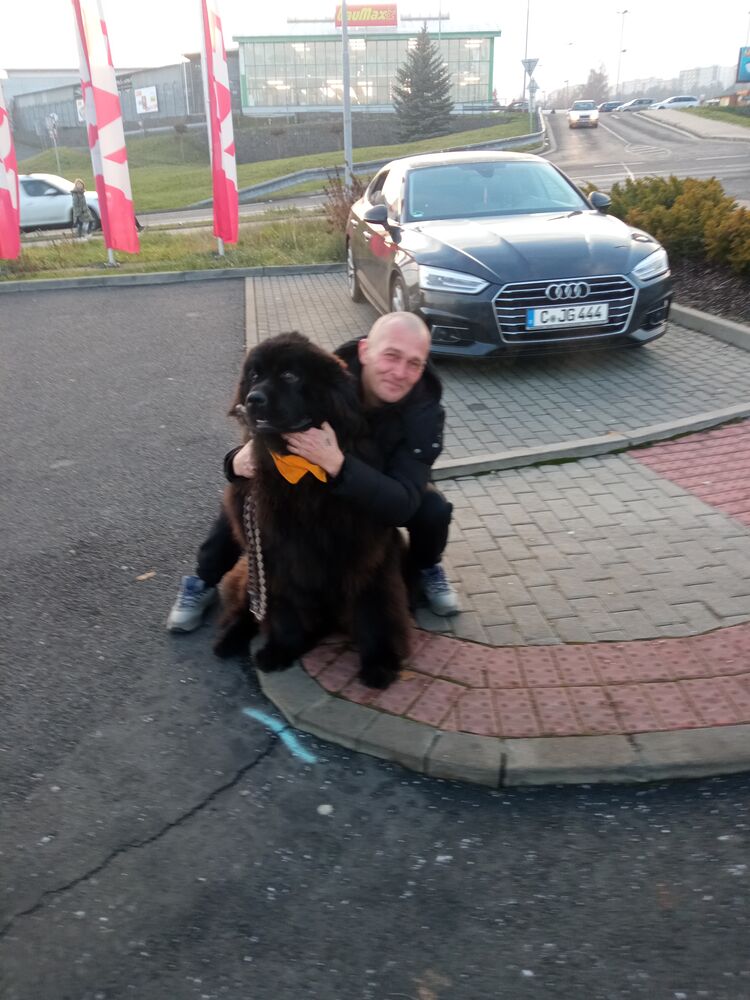  Plzen,   , 43 ,   ,   