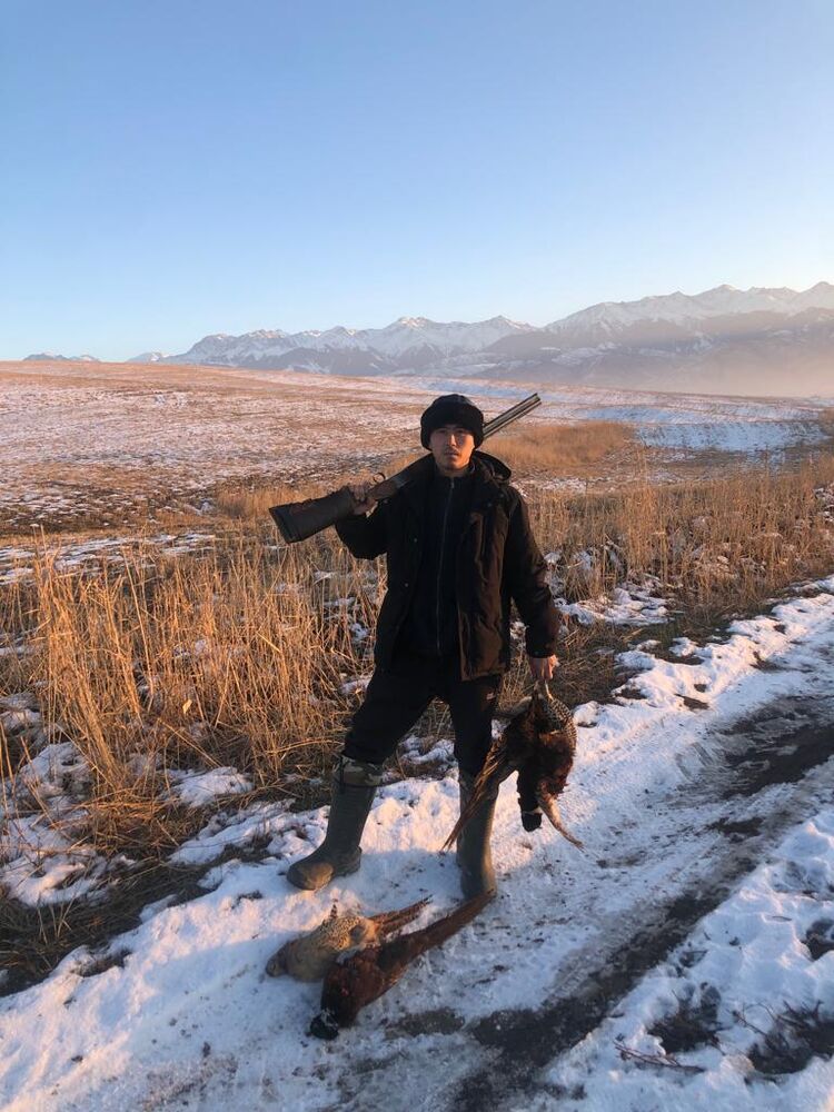 ���������� ������, ���� ������� �����, 33 ����, ������������ ��� ������, ����� � ���������