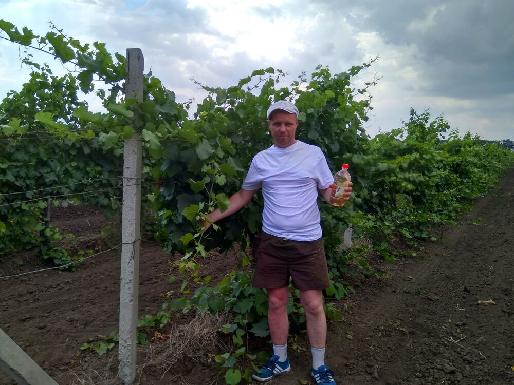 ���������� �����, ���� ������� ���������, 48 ���, ������������ ��� c�������� ���������