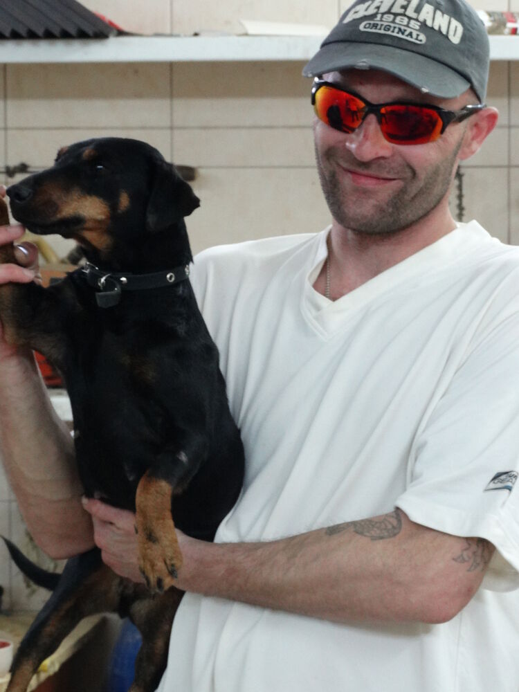 ���� 36391449 ������� ���������, 49 ���, ���� ���������� � ����