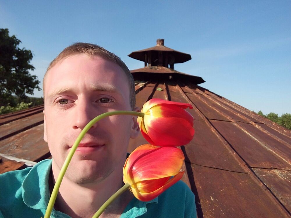  37004419  , 33 ,    -