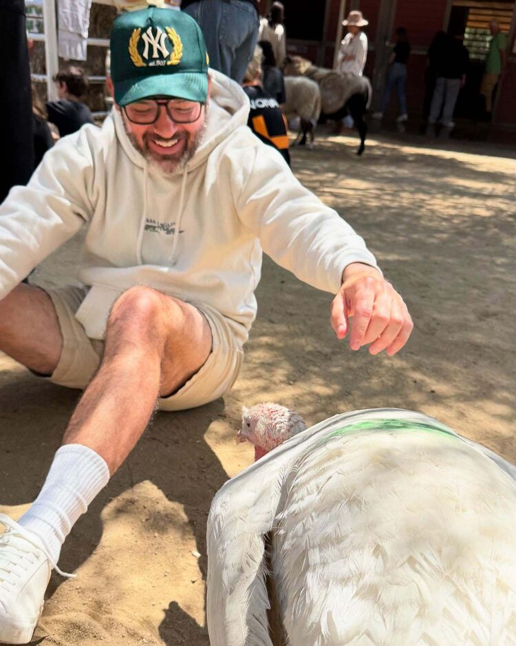 ���� 53112069 ������� ����, 34 ����, ���� ���������� � �����-����������