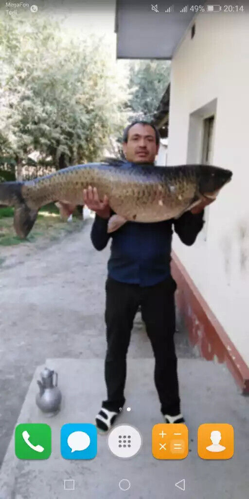  ,   , 44 ,   ,   