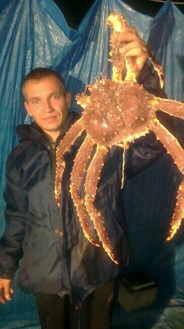  10840979  , 40 ,    -