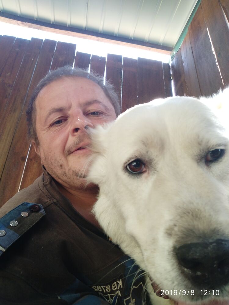  ,   Ivan, 42 ,     , c 
