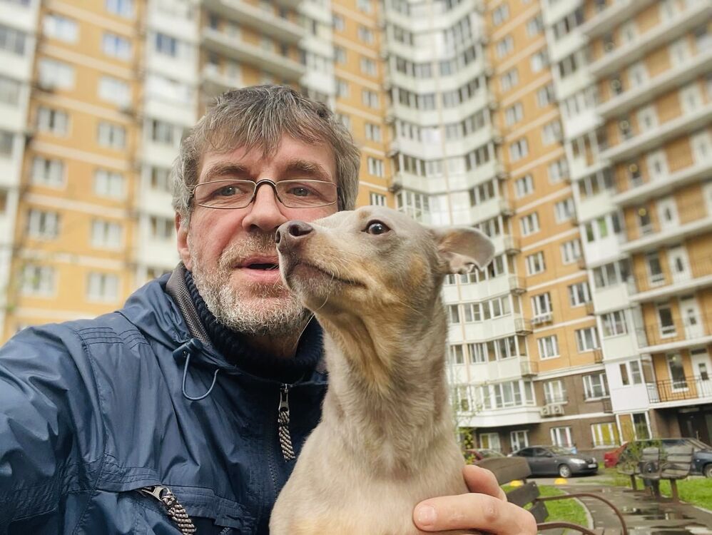 ���� 55995149 ������� ���������, 55 ���, ���� ���������� � ������