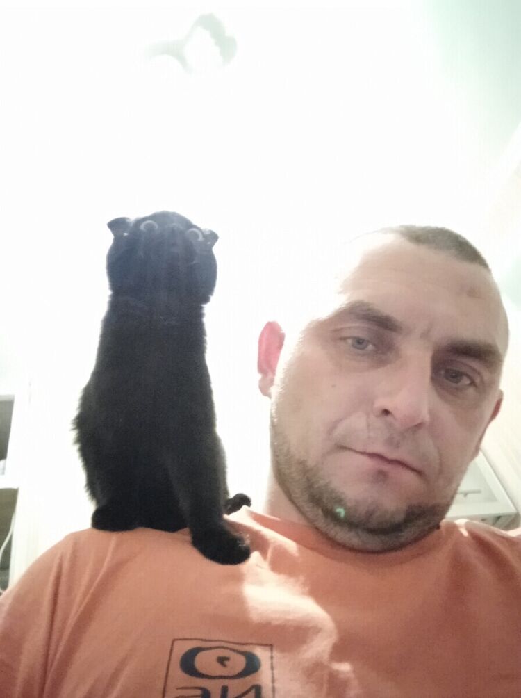 ���� 22545529 ������� ���, 41 ���, ���� ���������� � ������������