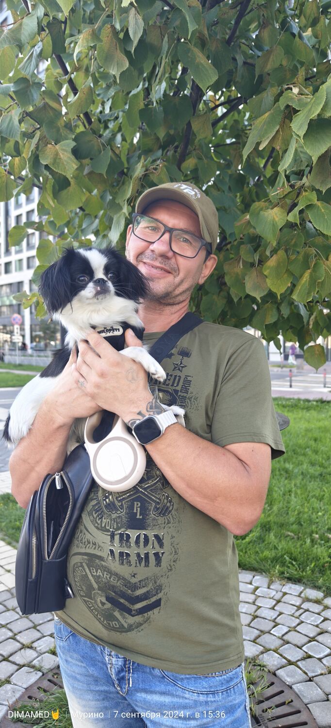 ���������� �����-���������, ���� ������� ����, 48 ���, ������������ ��� ������, ���������