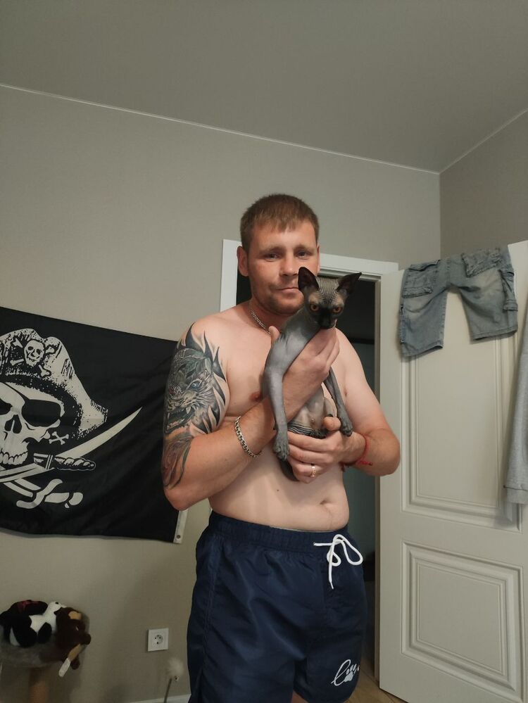 ���������� �������, ���� ������� ���������, 41 ���, ������������ 