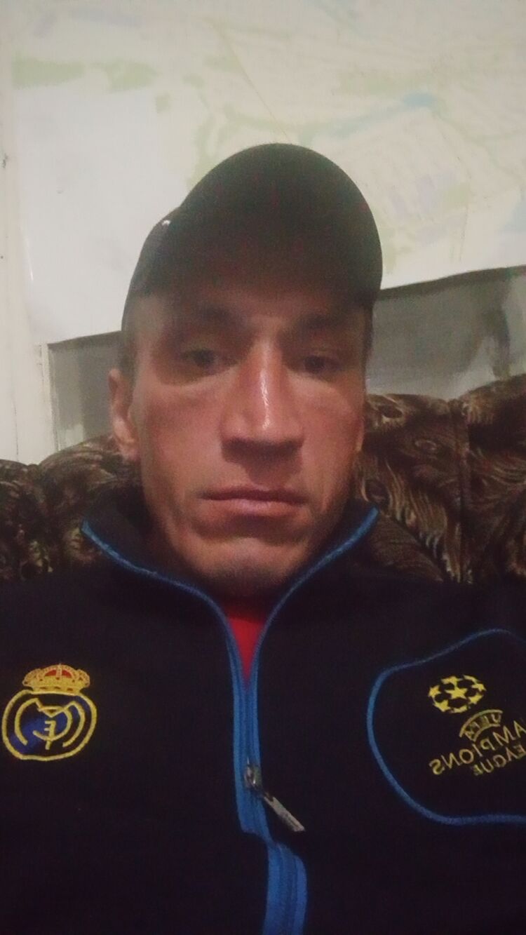  34486499  , 40 ,     