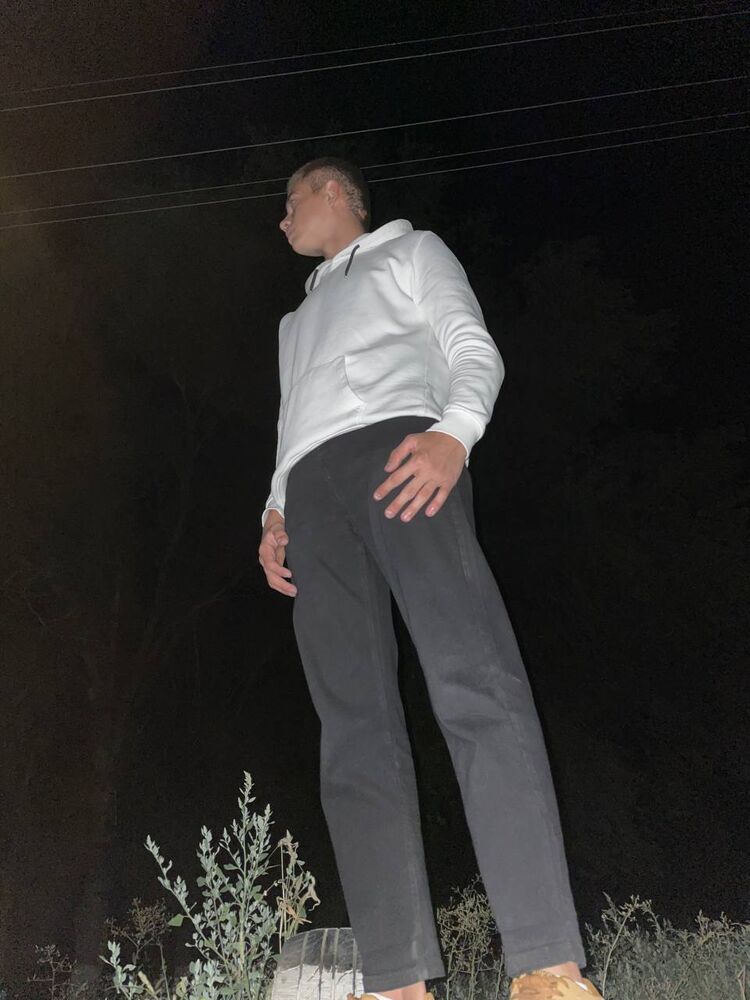  29103169  , 21 ,    
