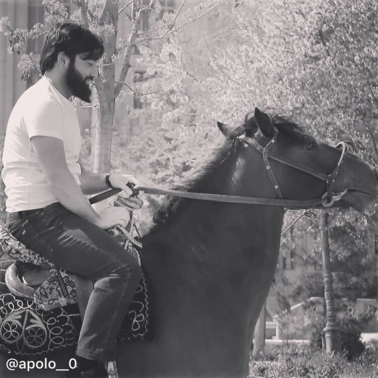 ���������� ������, ���� ������� Abu, 29 ���, ������������ ��� ������, ����� � ���������