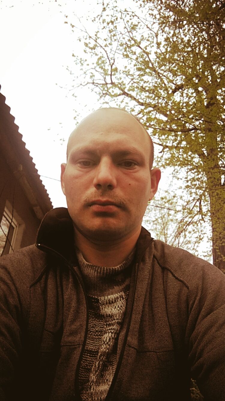  36653919  , 31 ,     