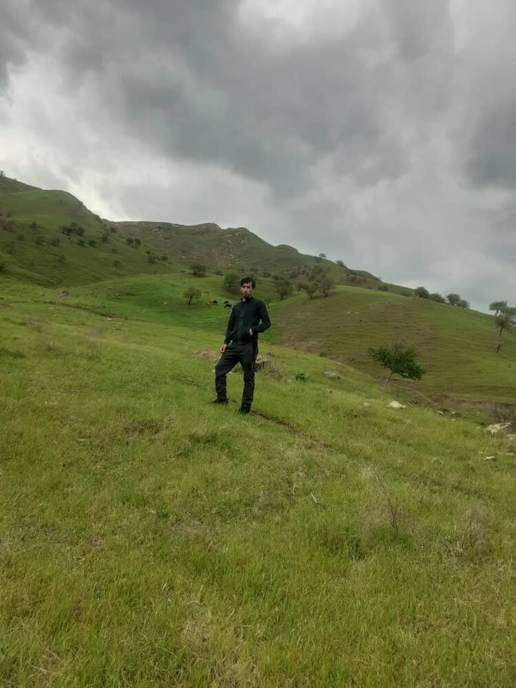  45630879  , 31 ,    