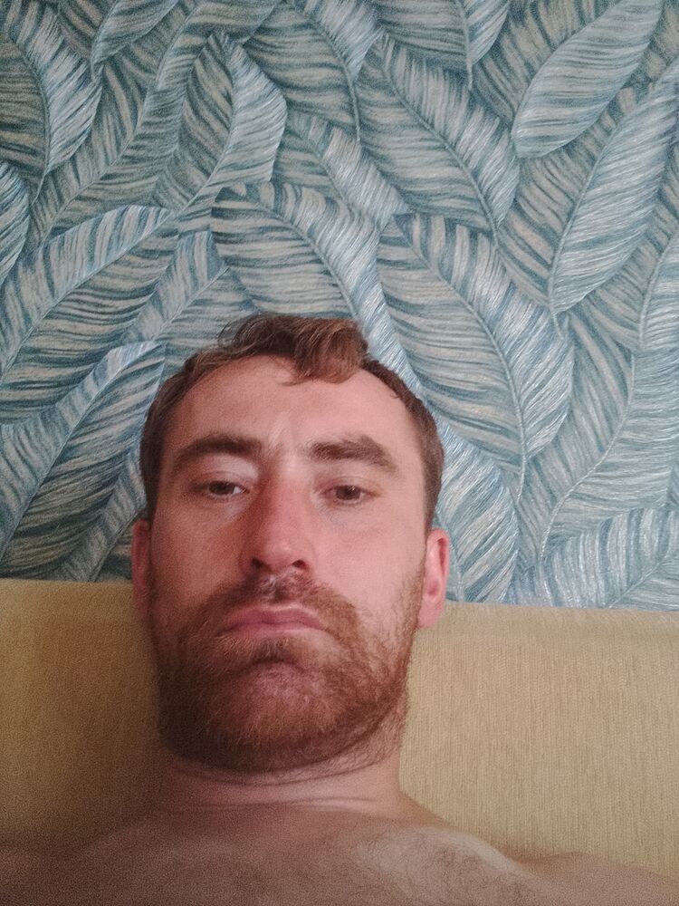  35317079  , 38 ,    