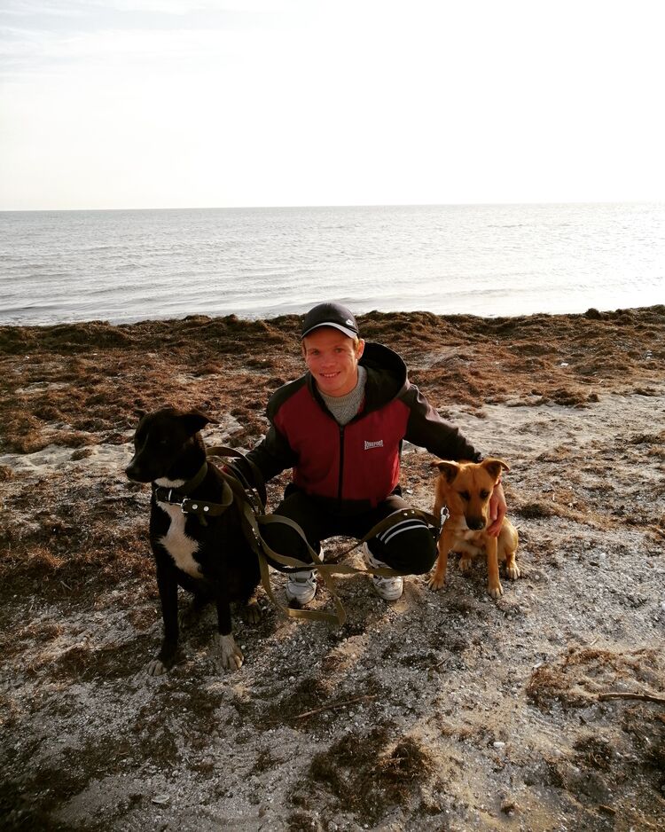 ���������� ���������, ���� ������� ����, 34 ����, ������������ ��� ������, ����� � ���������, c�������� ���������, ���������