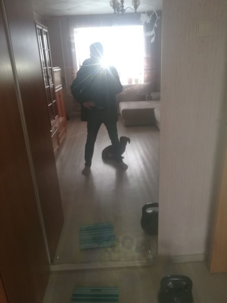 ���������� ���������, ���� ������� ����, 41 ���, ������������ ��� ������, ����� � ���������, c�������� ���������