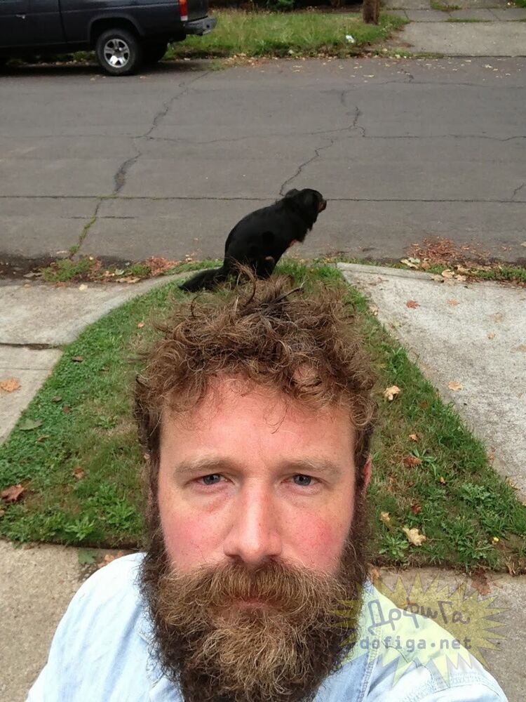 ���� 23068869 ������� ������, 42 ����, ���� ���������� � ������