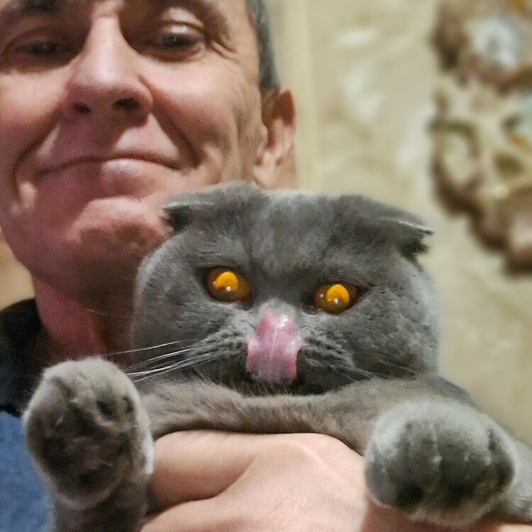 ���������� �������, ���� ������� ����, 54 ����, ������������ ��� ������, ����� � ���������