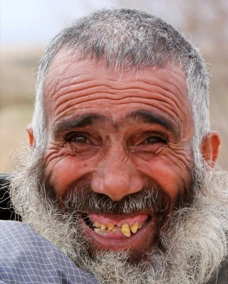 ���� 34947259 ������� ����� ����, 101 ���, ���� ���������� � �����-����������