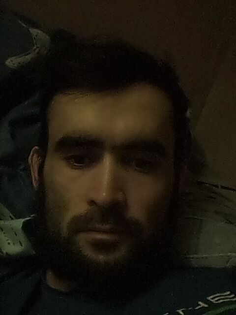  33110119  , 31 ,    