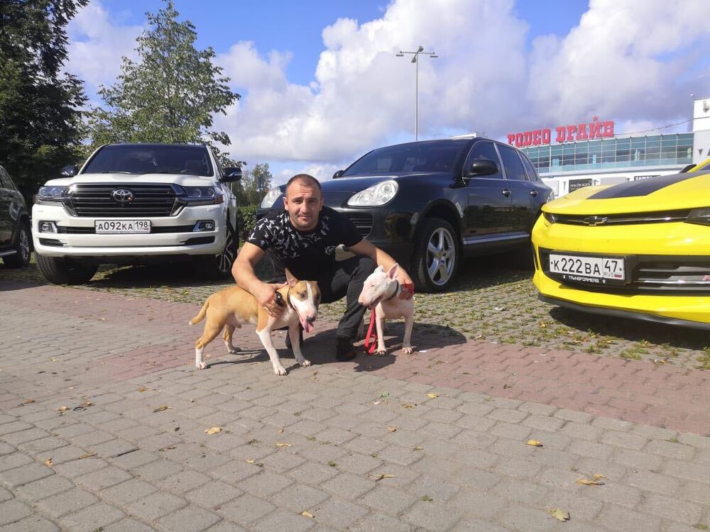  33144149  , 35 ,    -