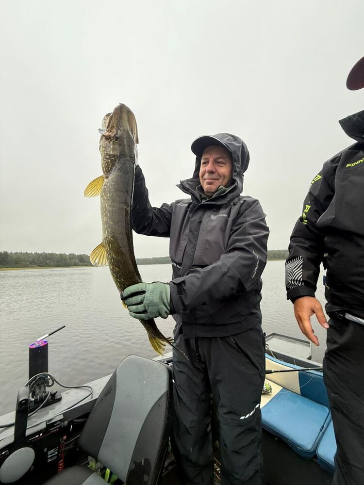 ���� 55160919 ������� �������, 42 ����, ���� ���������� � �����-����������