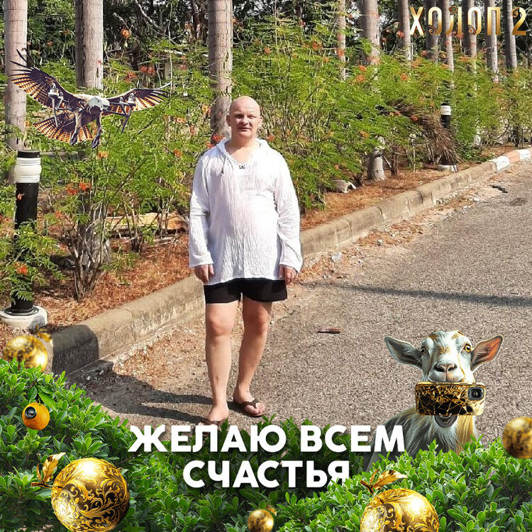 ���� 53356599 ������� ����, 49 ���, ���� ���������� � ��������