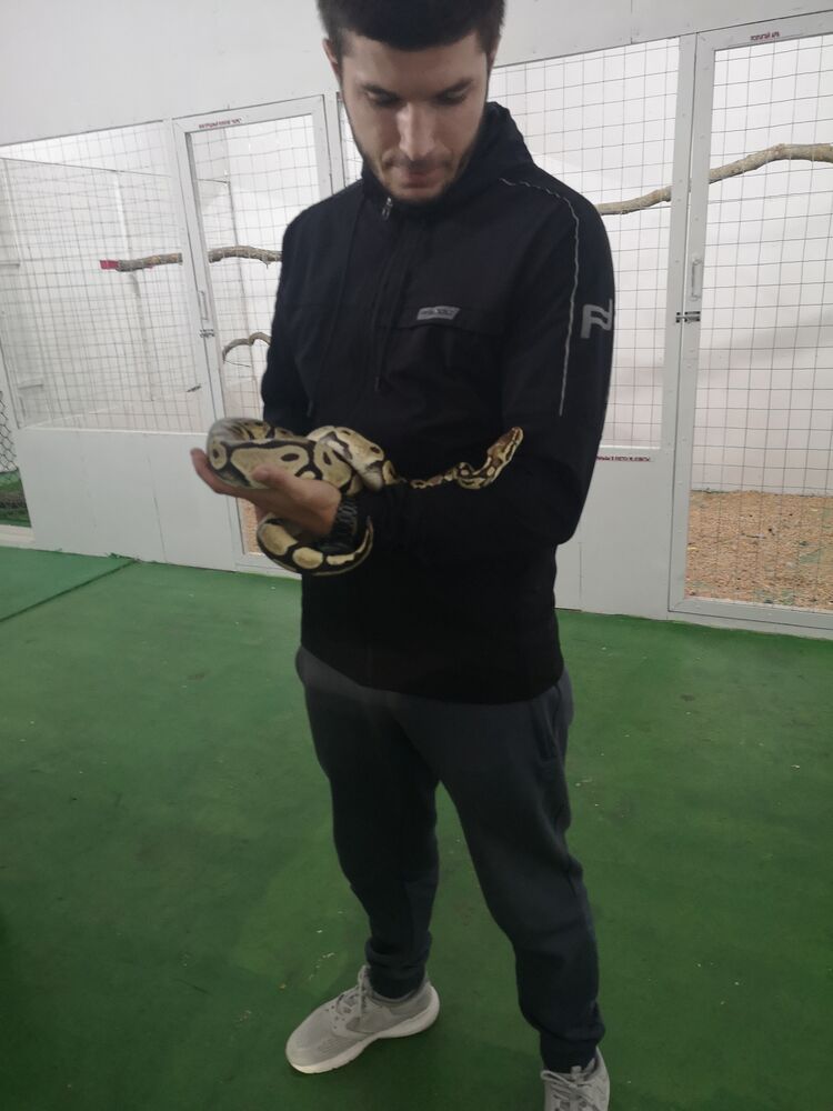 ���� 38615589 ������� Ali, 29 ���, ���� ���������� � ������