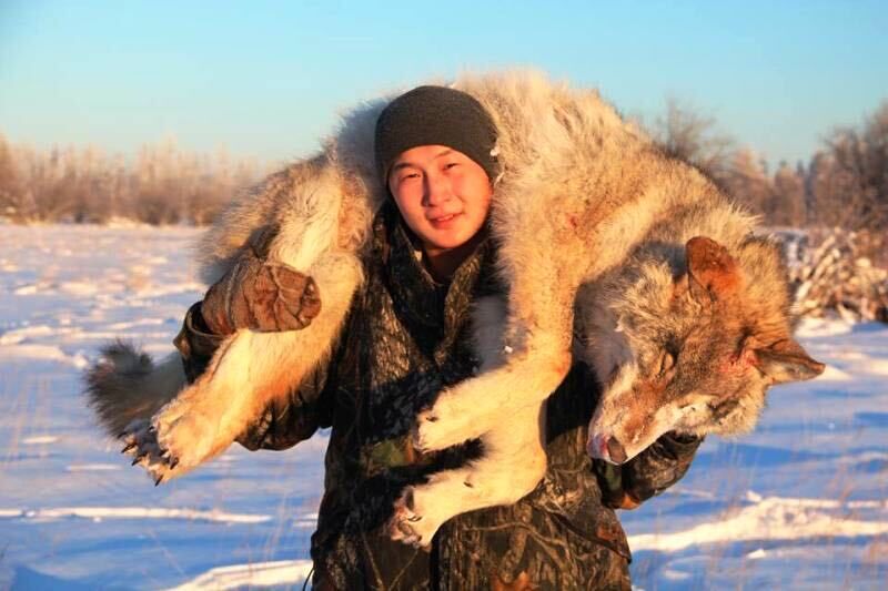 ���� 37895739 ������� ���������, 37 ���, ���� ���������� � �������