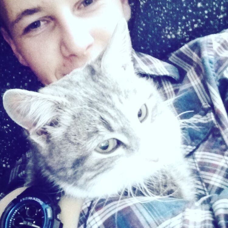 ���� 11870529 ������� ����, 26 ���, ���� ���������� � ��������