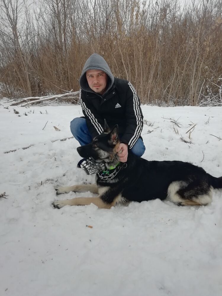 ���� 26660039 ������� �����, 43 ����, ���� ���������� � ��������