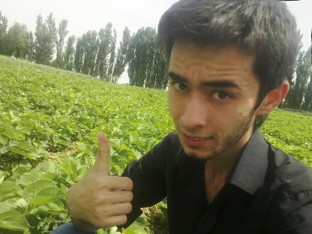 ���� 5975679 ������� 998946976230, 31 ���, ���� ���������� � ��������