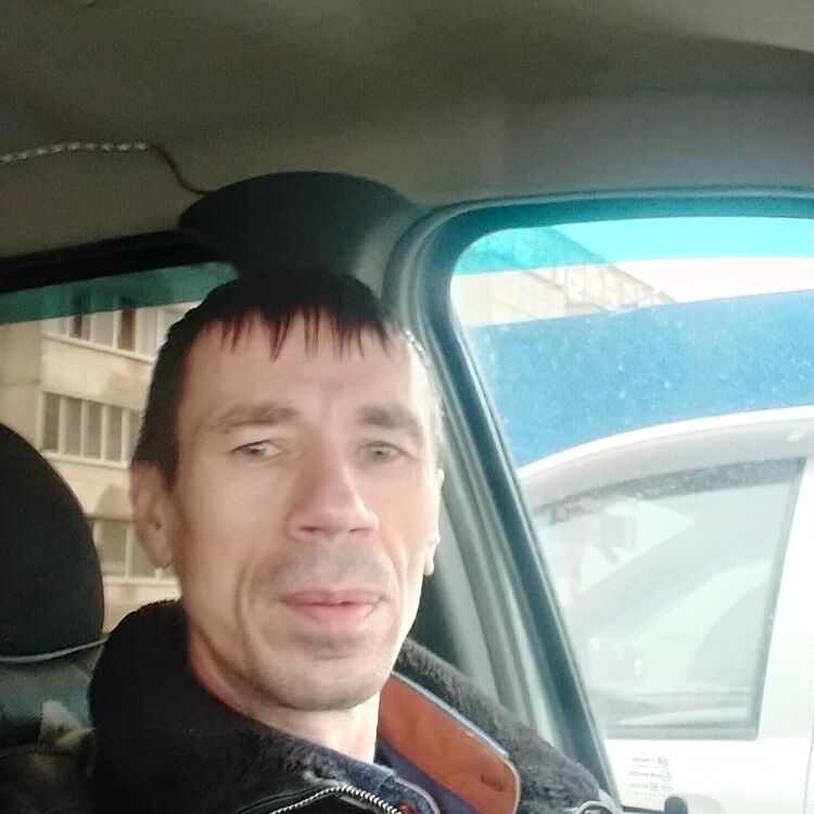  23204869  , 49 ,    -
