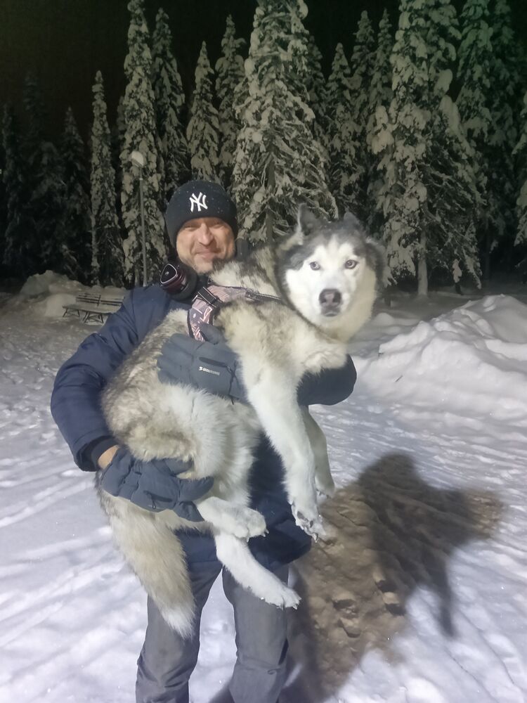 ���� 56042229 ������� �����, 44 ����, ���� ���������� � ����