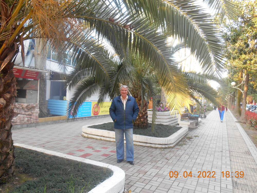  ,   , 77 ,   ,   