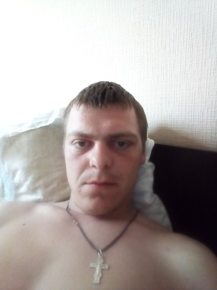  15780869  , 31 ,    