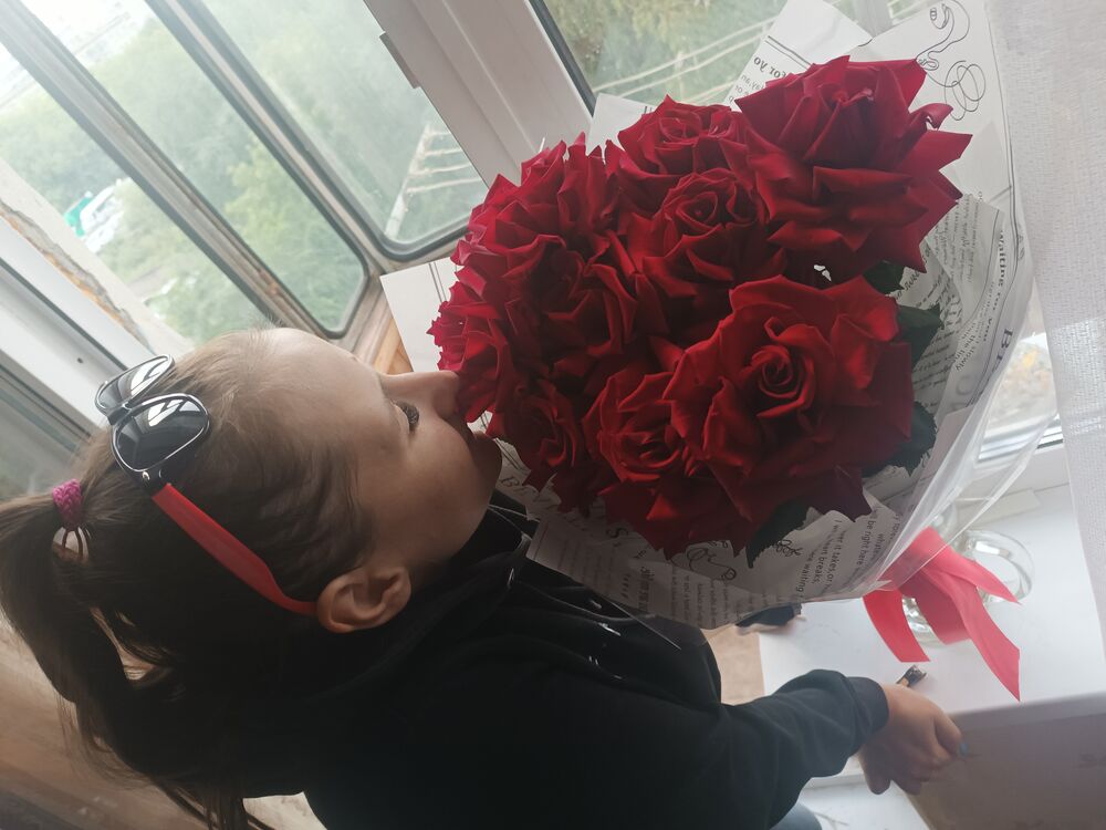 ���������� �����������, ���� ������� ���������, 33 ����, ������������ ��� ������, ����� � ���������, ���������