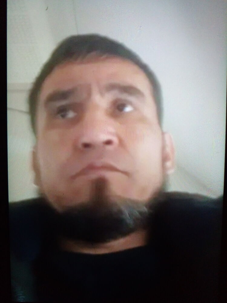  23240179  , 50 ,    