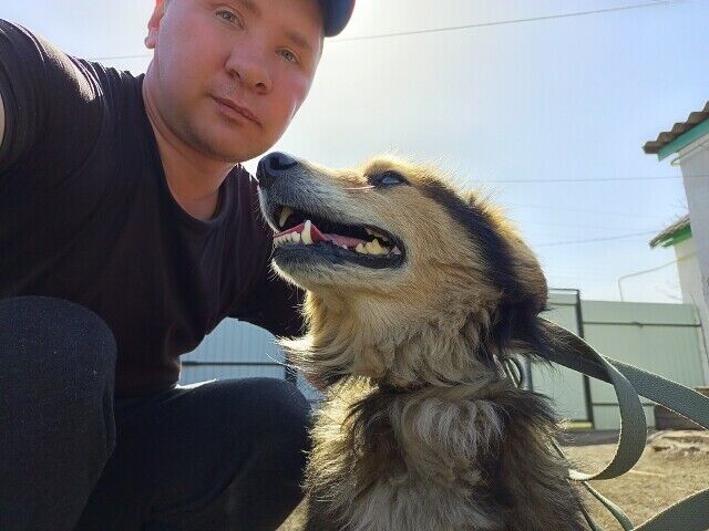 ���� 42266509 ������� �������, 39 ���, ���� ���������� � ��������