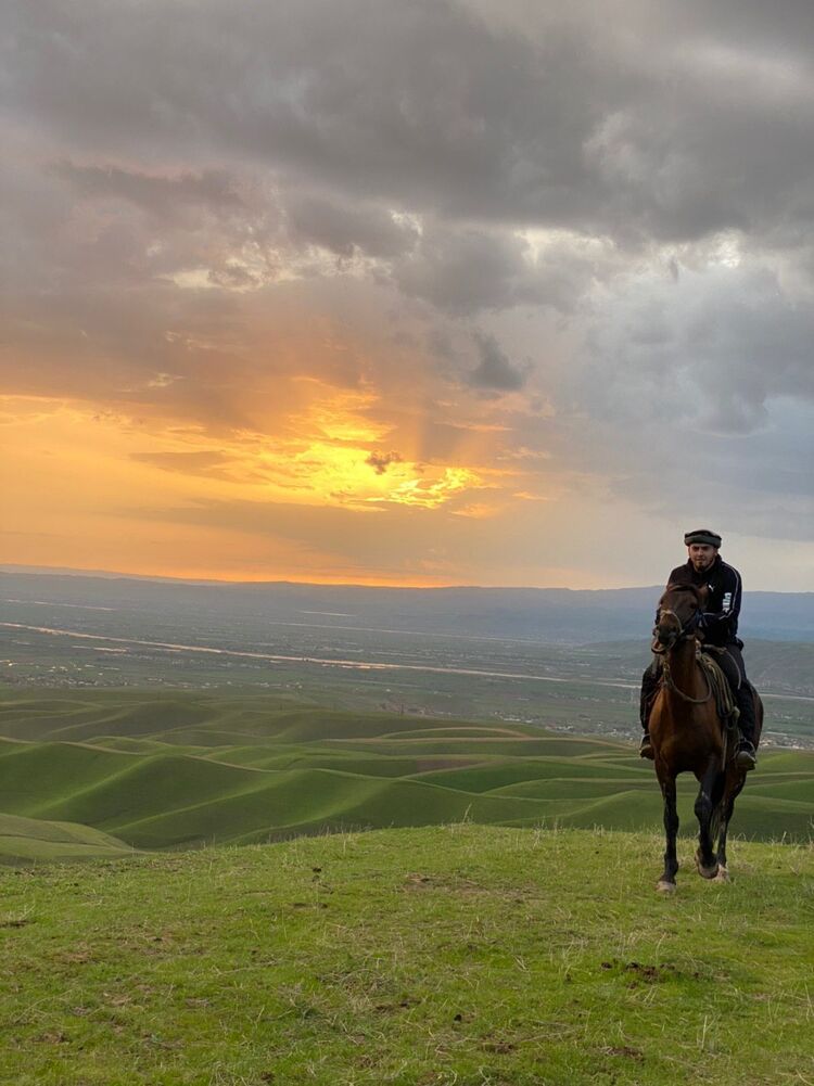 ���� 25049639 ������� ����, 28 ���, ���� ���������� � �����