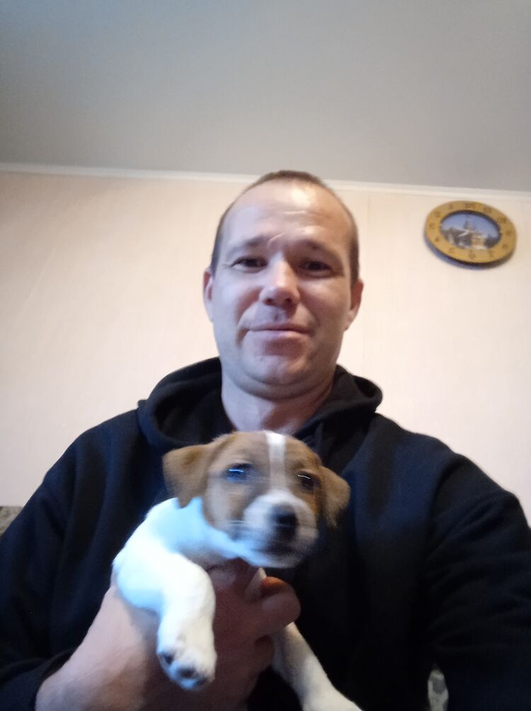 ���������� ��������, ���� ������� �����, 36 ���, ������������ ��� ������, ����� � ���������, c�������� ���������