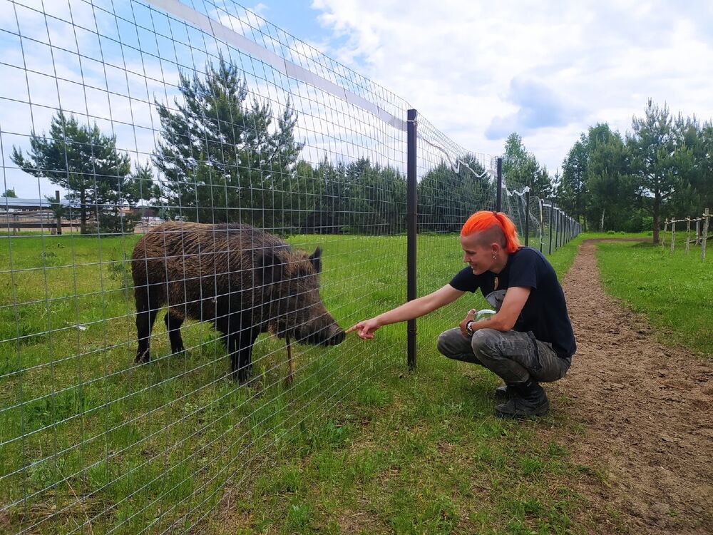 ���������� ������, ���� ����� ����, 24 ����, ������������ ��� ������, ����� � ���������