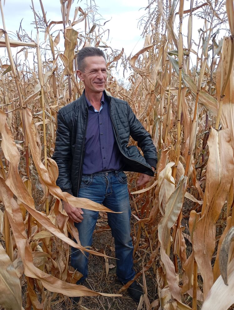 ���������� �����, ���� ������� �������, 51 ���, ������������ ��� ������, c�������� ���������, ���������